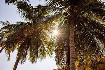 Sonnenstrahlen im Sri Ranganatha Swamy Temple, Trichy von Martijn