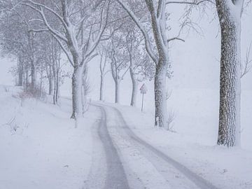 Winterweg met sneeuw van Animaflora PicsStock