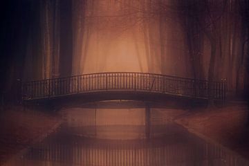 Landschaft im Nebel von Heiko Lehmann