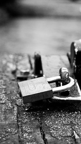 Château Château Twickel