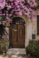 Botanische voordeur | Italie | Rozen Bloemen