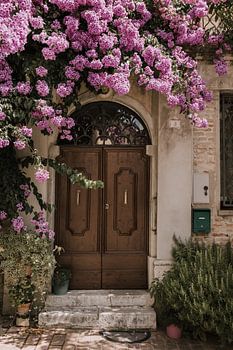 Botanische Haustür | Italien | Rosenblüten