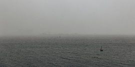 Snowfall over the Veerse Meer