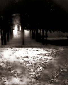 Antwerp gardens