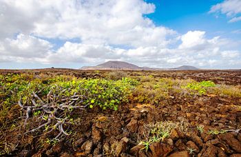 “Volcanic Serenity – Lanzarote”