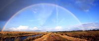Regenbogen über Wapserveense Aa von Hielke Roelevink Miniaturansicht