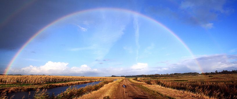 Regenbogen über Wapserveense Aa von Hielke Roelevink