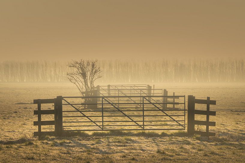Alblasserwaard - Mistige Zonsopkomst van Frank Smit Fotografie