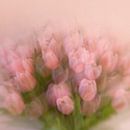 Tulips (my way) von Rob van der Pijll Miniaturansicht