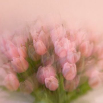Tulips (my way) van Rob van der Pijll