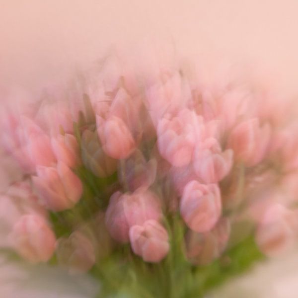 Tulips (my way) von Rob van der Pijll