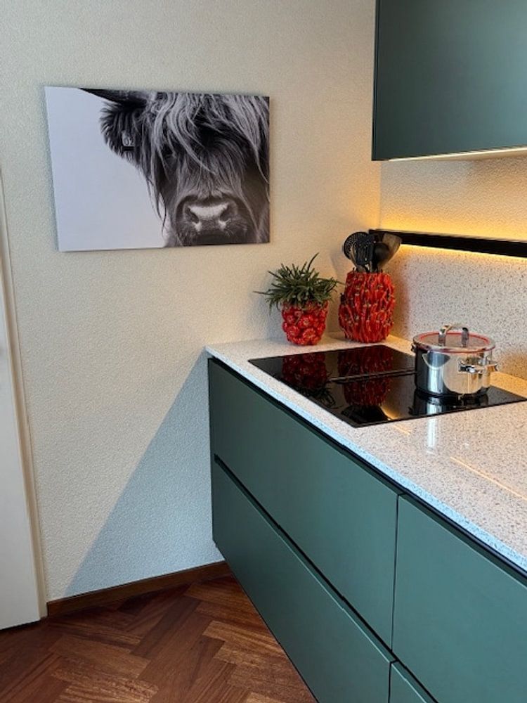 Portret Schotse Hooglander zwart-wit van Sandra van Kampen