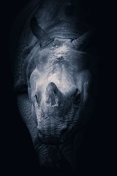 Rhinoceros approaching by Angelique Morees
