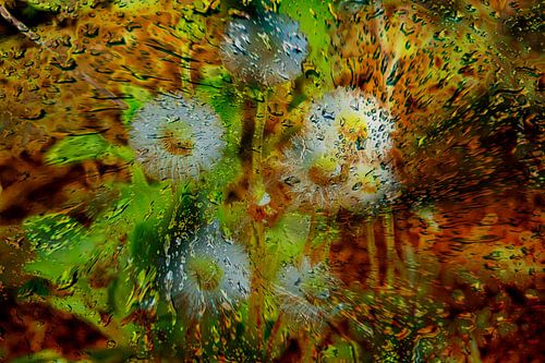 Concept abstract : Dandelions / Pusteblumen
