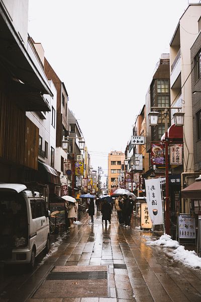Asakusa: The Heart of Old Tokyo by Ken Tempelers
