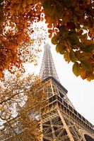 Eiffel Tower, autumn