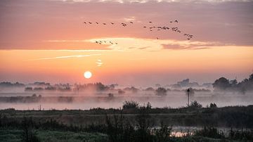 Sunrise Zalkerdijk. by Bert Visser