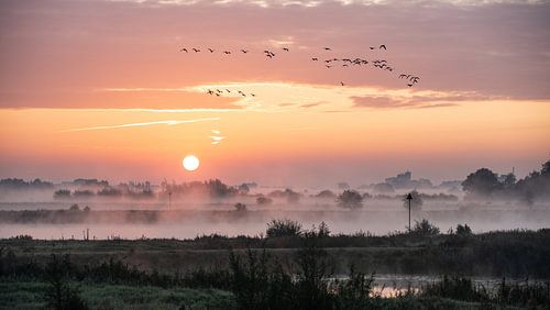 Lever du soleil Zalkerdijk.