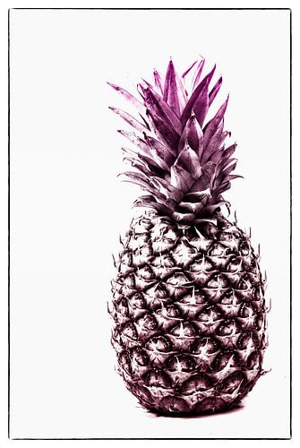 Roze ananas