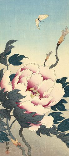 Pioenroos met vlinder, Ohara Koson