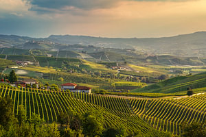 Sonnenuntergang über den Weinbergen der Langhe bei Grinzane Cavour, Italien
