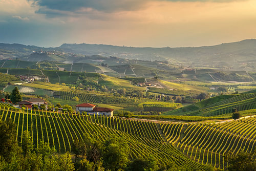 Zonsondergang boven de wijngaarden van de Langhe bij Grinzane Cavour, Italië