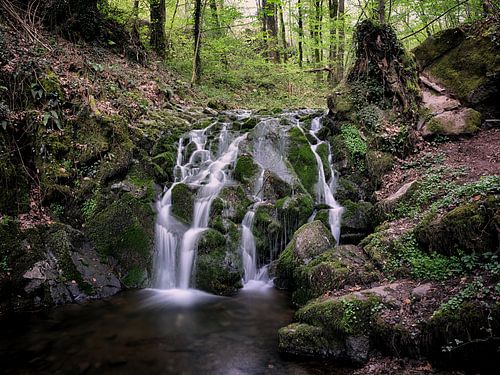 Chute d'eau dans la forêt sur Maikel Brands