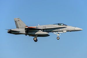Finnische McDonnell Douglas F/A-18C Hornet.