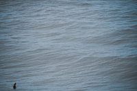 Alone in the Ocean thoughtful