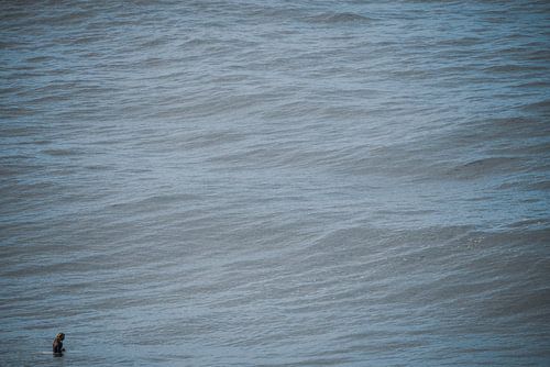 Alleine im Ozean nachdenklich von massimo pardini
