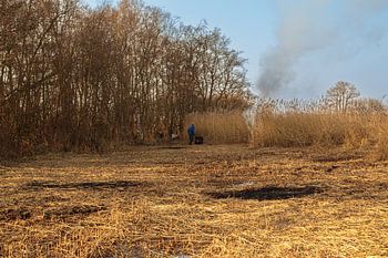De Weerribben en Wieden; een rietsnijder aan het werk!