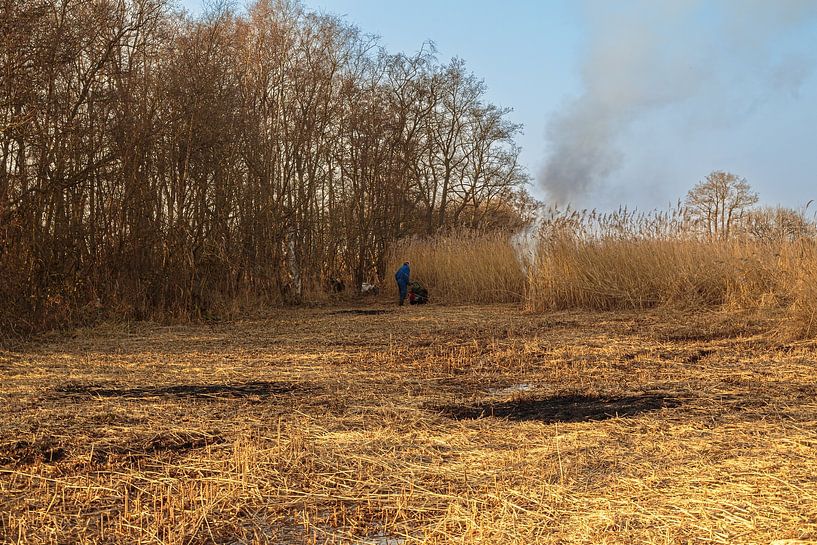 The Weerribben and Wieden; a cane cutter at work! by Roel Jonker