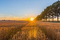 Zonsondergang