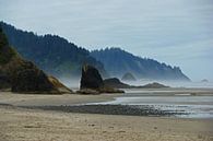 Ruig westkust strand in Oregon van Jeroen van Deel thumbnail