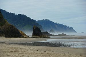 Ruig westkust strand in Oregon van Jeroen van Deel