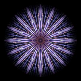 Symétrie ronde dans le carré sur Blame Dutchie Photography