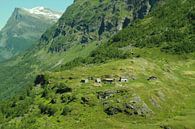 Traditionele boerenverblijven in bergen boven Geiranger Noorwegen van Jan Roodzand thumbnail