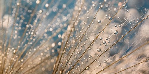 Abstract panorama van druppels