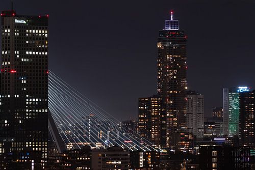Erasmus Bridge at night