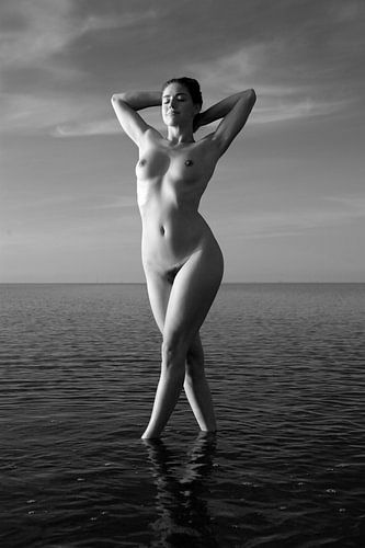Artnude on the waddensee