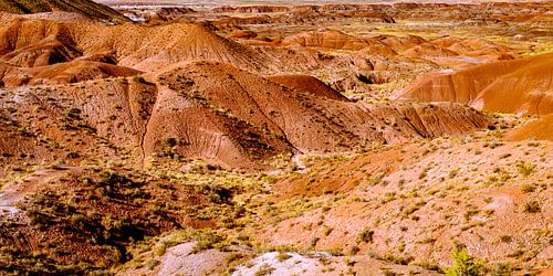 Kleurrijke heuvels en beschilderde woestijn in het versteende woud nationaal park in Arizona USA