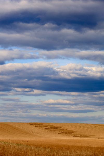 Landscape by Thomas Jäger