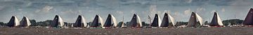Skutsjesilen, Wettfahrt mit Plattbodensegelschiffen von Frans Lemmens
