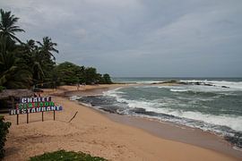 strandbar von Rony Coevoet