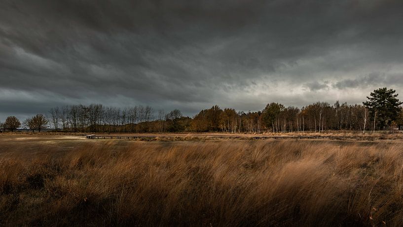 Vlonderpad, Rauwe Vennen, De Moer, Huis ter Heide by Patrick Rosenthal