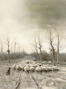 Troupeau de moutons sur les landes près de Laren sur Affect Fotografie