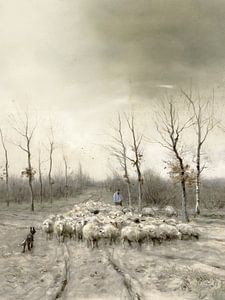 Schafherde in den Mooren bei Laren