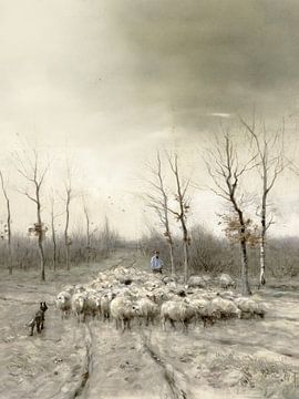 Flock of sheep on the moors near Laren
