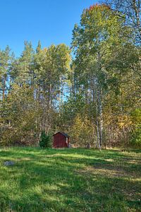 Schwedische Hütte von Geertjan Plooijer