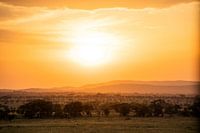 Zonsondergang op de Serengeti